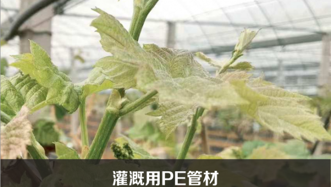 灌概酌PE管材