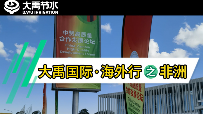 大禹国际·海表行之非洲