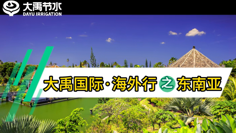 大禹国际海表行之东南亚