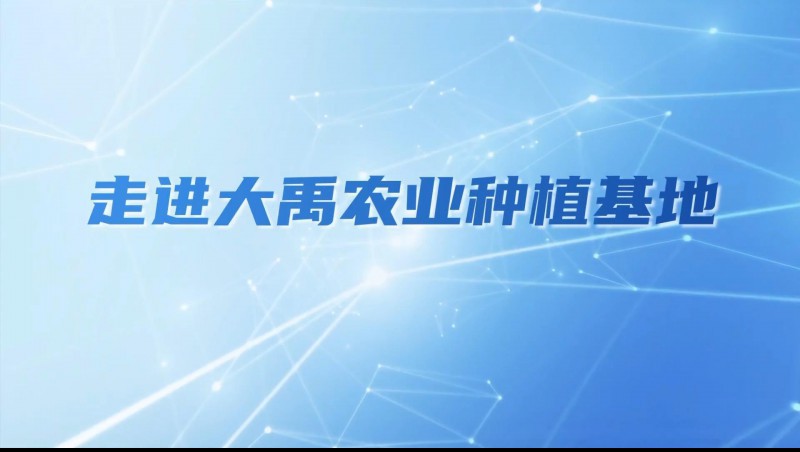 大禹农业| 多元化种植基地矩阵，索求农业现代化新蹊径